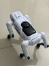 盈佳售20万智能ai机器狗rc遥控车早教机器人儿童玩具男女孩生日礼物 实拍图