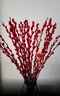【红色招财银柳】干花真花鲜枝耐寒年宵花水培花卉室内摆放装饰花 60厘米【30支】送灯笼 实拍图