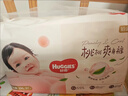 好奇（Huggies）铂金装小桃裤拉拉裤XL64片(12-17kg)加大号尿不湿【透爽散热】 实拍图