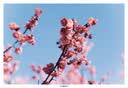 铭匠75f2全画幅大光圈自动对焦人像镜头 铭匠75mm F2适用E卡口Z卡口LUMIX S5 S9L卡口镜头微单定焦镜头 松下L卡口【银色】 套餐七【配同色金属方形遮光罩】 实拍图