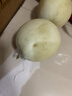 京鲜生 【年货】海南头茬玉菇甜瓜 净重8-9斤 3-4粒装 水果源头直发包邮 实拍图
