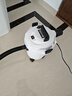 亿力吸尘器家用手持轻量超强大吸力 桌面床上地毯沙发干湿两用吹吸一体 小型除尘吸猫毛神器小白桶12L  实拍图