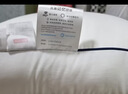 京东京造德国分区95%白鹅绒枕 欧洲莱茵鹅7A抗菌防螨枕芯可水洗单只中高枕 实拍图