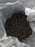 三隐祁门红茶安徽祁门红香螺工夫红茶礼盒装500g茶叶礼盒父亲节送长辈 实拍图