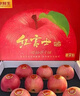 京鲜生山东红富士苹果净重 5斤礼盒+手提袋 单果230g起 源头直发包邮 实拍图