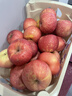 京鲜生 烟台红富士苹果 净重10斤  单果160g以上 春节也送货 实拍图
