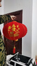 2026新款大红灯笼元宵节门口阳台中国风宫灯过新年户外装挂饰吊灯 100#全家福-对+一对灯 实拍图