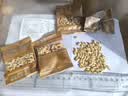 新货原味大颗粒松子仁独小袋装红松仁坚果零食东北特产年货 松子仁50包 实拍图
