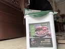 网易严选猫湿粮宠物零食性价比零食下午茶组合（合计455g共18件） 实拍图