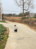 嘟嘟家男童裤子加绒冬装儿童长裤加厚冬款宝宝休闲裤女童运动裤保暖洋气 麻灰色 90 实拍图