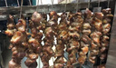 猎钢狼无烟羊肉串电烤箱商用家用烤串机全自动抽屉式电热烤串烧烤炉 经典智能控温款（一组9串）-三组带油盘 实拍图