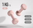 Keep哑铃女士男士健身家用彩色浸塑环保手铃亚铃全身塑形樱粉1kg*2 实拍图