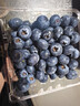 怡颗莓Driscoll's云南蓝莓14mm+ 4盒装 约125g/盒 新鲜年货水果 实拍图