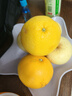 京地达柚子福建黄金葡萄柚西柚甜柚年货水果净重9斤单果250g+源头直发 实拍图