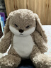 择偶记一代升级款丢丢兔毛绒玩具公仔布娃娃生日礼物送女生可爱兔子玩偶 实拍图