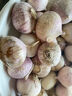 京鲜生 云南蒜独头蒜 净重1斤中果2.5-3.0cm 独蒜带土发货 源头直发 实拍图
