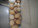 1号会员店富硒鲜鸡蛋30枚 源头直发 净重3斤 实拍图