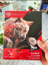 希捷（SEAGATE）NAS硬盘 4TB 256MB 机械硬盘 CMR垂直 静音低耗 数据恢复服务 3.5英寸 希捷酷狼 ST4000VN006 实拍图