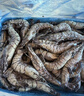 禧美海产 鲜冻大号黑虎虾 净重3斤装 45-60只/盒 单冻大虾 海鲜 年货 送礼 实拍图
