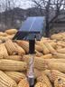 悠驰 太阳能射灯户外地插草坪灯景观七彩庭院防水家用室外花园照树灯 七彩中发光款 实拍图
