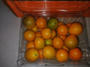 京觅广西融安 滑皮金桔脆皮金桔净重4.5斤单果12g+ 年货水果源头直发 实拍图