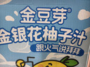 金豆芽金银花柚子汁儿童零食饮料饮品小孩果汁年货礼盒100ml*22袋 实拍图