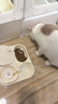 疯狂的主人猫粮自动喂食器饮水一体猫碗狗碗猫食盆猫咪猫盆宠物用品喝水双碗 实拍图