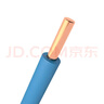 德力西（DELIXI）电线电缆ZC-BV2.5平方阻燃单芯单股家用铜芯电线100米蓝色零线  实拍图
