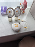 美德乐（Medela）吸奶器电动吸奶器双边吸乳器母乳集奶器挤奶器丝韵·翼舒悦免手扶 实拍图