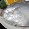 鲜到鲜得 东海银鲳鱼400g/2条装 平鱼 生鲜鱼类 深海鱼 海鲜 年货 实拍图
