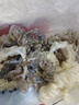 头绳女高弹力耐用皮筋发绳高级感法式小肠发圈丸子头发饰成人皮套 绸缎感超值24条【强烈推荐】颜色随机 实拍图