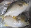 翔泰 海南金鲳鱼净重900g 2条装  年货节鱼类生鲜 火锅食材 海鲜水产  实拍图