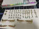 拼酷点翠凤冠 十里红妆3d立体金属拼图diy手工拼装玩具生日结婚礼物 点翠凤冠+玻璃灯罩8号+轻便工具 实拍图