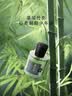 黑爪【双11】竹影香水男士持久淡香清新绿意调少年感竹子味生日礼30ml 实拍图