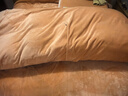 富安娜牛奶绒床上四件套 冬季床单被套防静电 单双人法兰绒套件1.5米床 实拍图