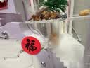趣驭 蚂蚁城堡蚂蚁工坊养蚂蚁巢穴观察生态箱宠物玩具六一儿童节礼物 白沙版+1蚁后200工(铺道蚁) 实拍图