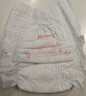 好奇（Huggies）铂金装小桃裤成长裤XL96片(12-17kg)加大号尿不湿【透爽散热】 实拍图