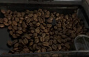 京东京造 意式咖啡豆1kg 100%阿拉比卡油脂浓郁低酸拿铁深烘手冲 实拍图