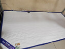 雅鹿·自由自在 A类乳胶床垫床褥子学生宿舍单人0.9米床加厚6cm 90x190cm 波纹白 实拍图