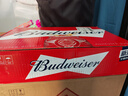 百威啤酒mini红罐淡色拉格255ml*24听小罐整箱装京东自营喜酒年货送礼 实拍图