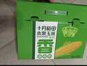 十月稻田 水果甜玉米 8根 3.52斤 真空开袋即食 低脂早餐 新年礼盒 粗粮 实拍图