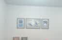 Sixpoetry 客厅装饰画现代简约沙发背景墙壁画轻奢三联晶瓷画大气高档挂画 富羽纳祥（铝合金外框） 晶瓷画左右50*70+中间100*70亮面 实拍图