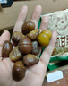 三只松鼠有机甘栗仁500g 熟制即食板栗仁栗子仁坚果零食品 团购送礼 实拍图