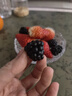 怡颗莓Driscoll's怡颗莓 黑莓125g 实拍图