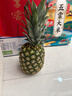 京鲜生 海南金钻凤梨  2个装 单果2斤起  生鲜水果 实拍图