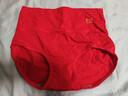猫人内裤女士本命年红色高腰纯棉档石墨烯抗菌结婚全棉女式内三角裤头 254中腰【3条装】送平安符 L 【建议100-120斤】 实拍图