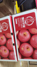 京鲜生 烟台红富士苹果 净重10斤  单果160g以上 水果礼盒 实拍图
