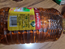 鲁花 【保真菜籽油】食用油 低芥酸特香菜籽油 6.18L   物理压榨 实拍图