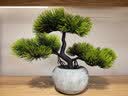 匠心绽放美人松仿真松树盆景仿真绿植客厅盆景摆件桌面禅意中式装饰20303 实拍图