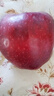 京鲜生 甘肃天水花牛苹果 又大又红 净重10斤 单果240g以上  春节也送货 实拍图